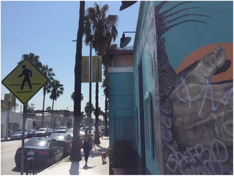 Los Angeles Guide of Abbott Kinney Main2 - Los Angeles Guide of Abbott Kinney