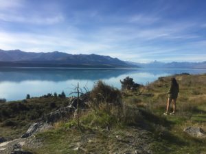 fullsizeoutput 10ce 300x225 - A Week In New Zealand