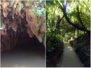 glowworms 300x225 - A Week In New Zealand