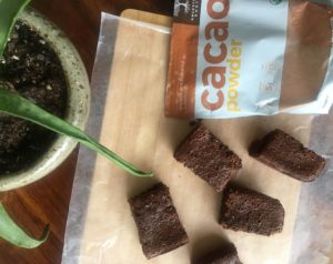 IMG 9573 300x238 - The Easiest and Natural Coconut Flour Brownie Recipe
