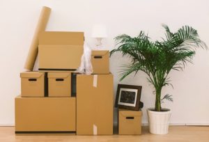 Facetune 11 07 2018 14 11 21 300x204 - Moving Tips For Apartment Living