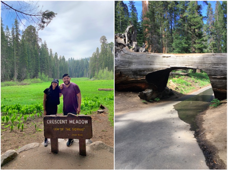 TreetunnelCreasentMeadow - Sequoia National Park 24 Hour Travel Guide