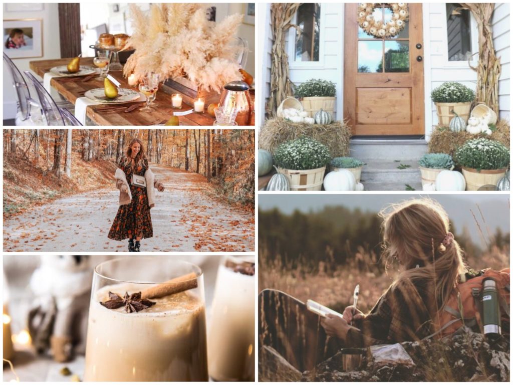 IMG 2758 1024x768 - Autumn Mood Board